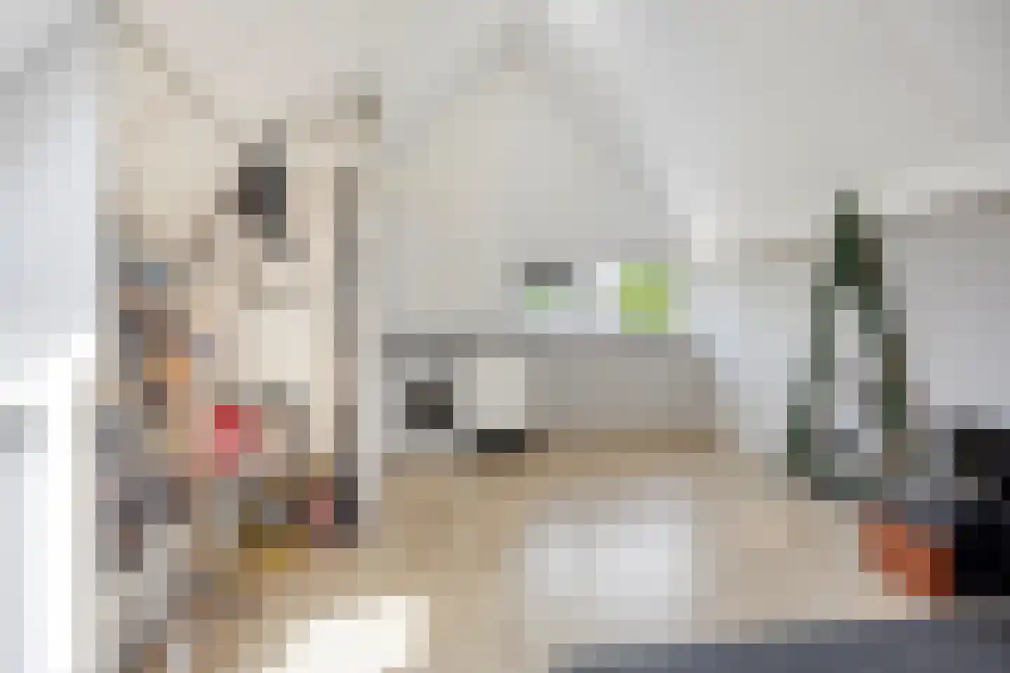 Mevr.Mr. L. Ribbius Peletierstraat 18 Gorinchem thumbnail 22