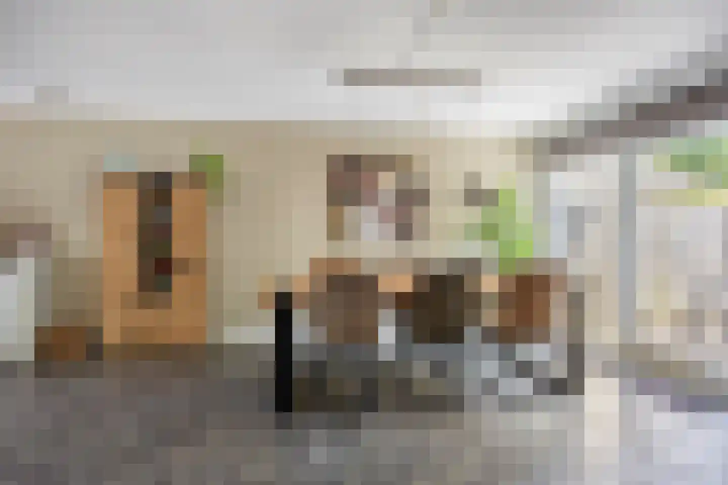 Mevr.Mr. L. Ribbius Peletierstraat 18 Gorinchem thumbnail 4