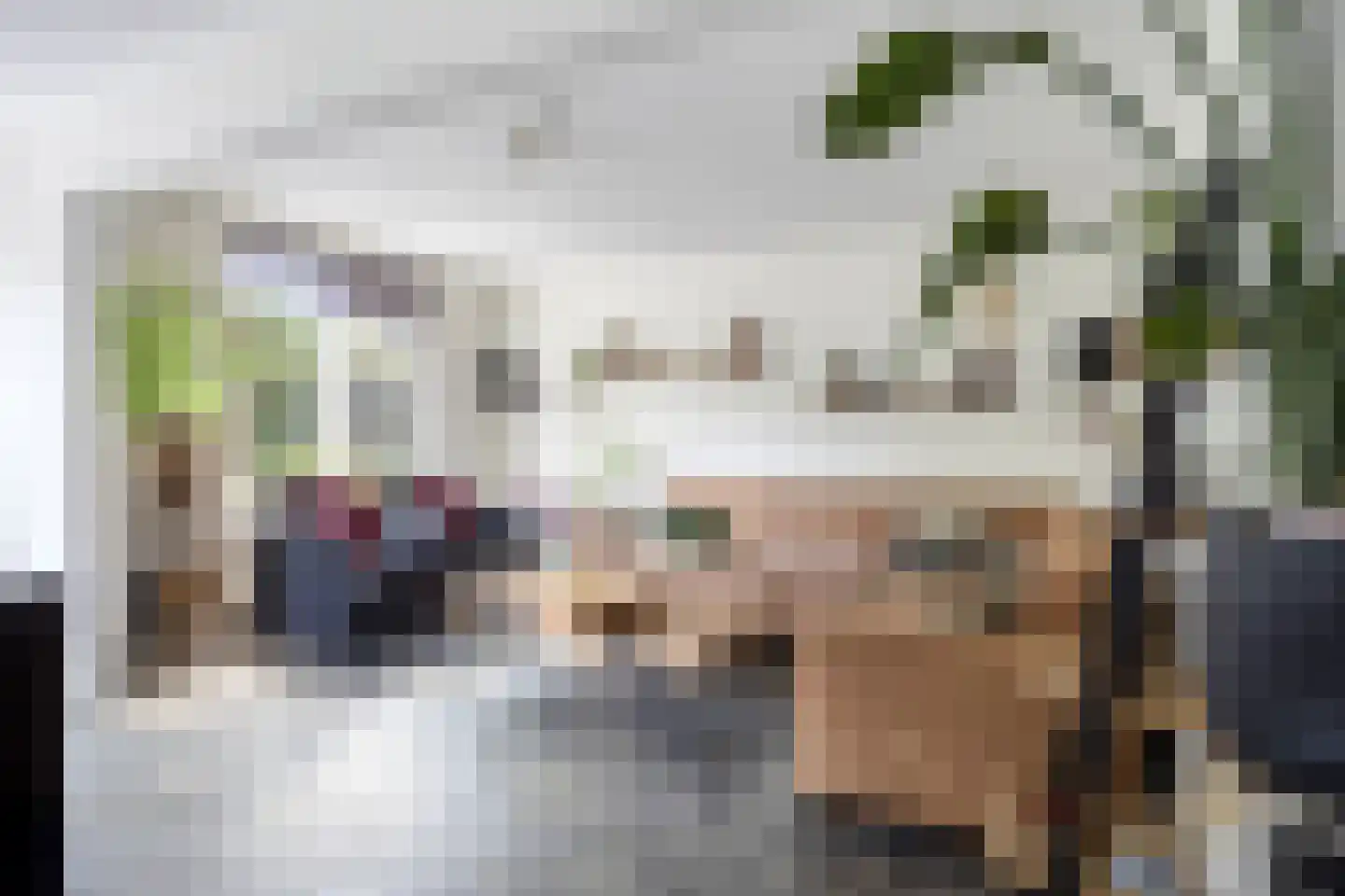Mevr.Mr. L. Ribbius Peletierstraat 18 Gorinchem thumbnail 7