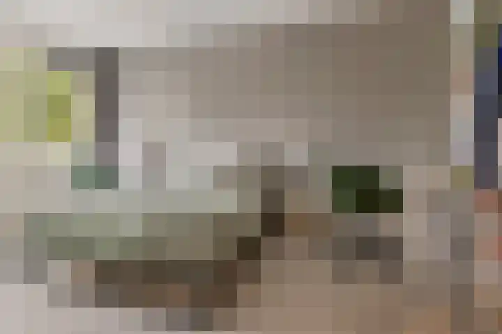 Mevr.Mr. L. Ribbius Peletierstraat 26 Gorinchem thumbnail 27