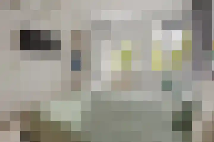 Mevr.Mr. L. Ribbius Peletierstraat 26 Gorinchem thumbnail 28