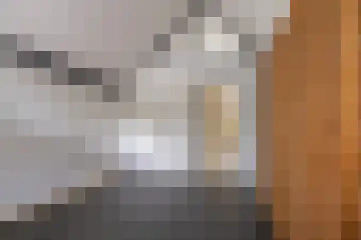 Mevr.Mr. L. Ribbius Peletierstraat 26 Gorinchem thumbnail 36