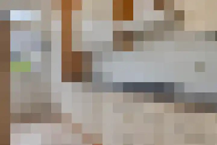 Mevr. Traas-de Jagerstraat 5 Oud-Beijerland thumbnail 14
