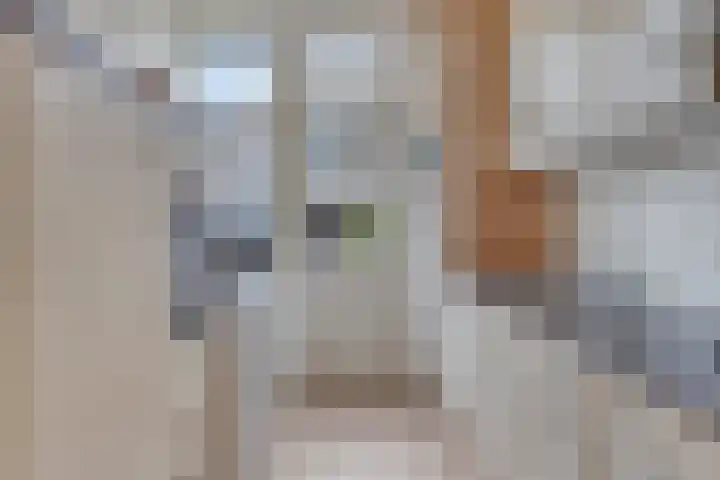 Mevr. Traas-de Jagerstraat 5 Oud-Beijerland thumbnail 15