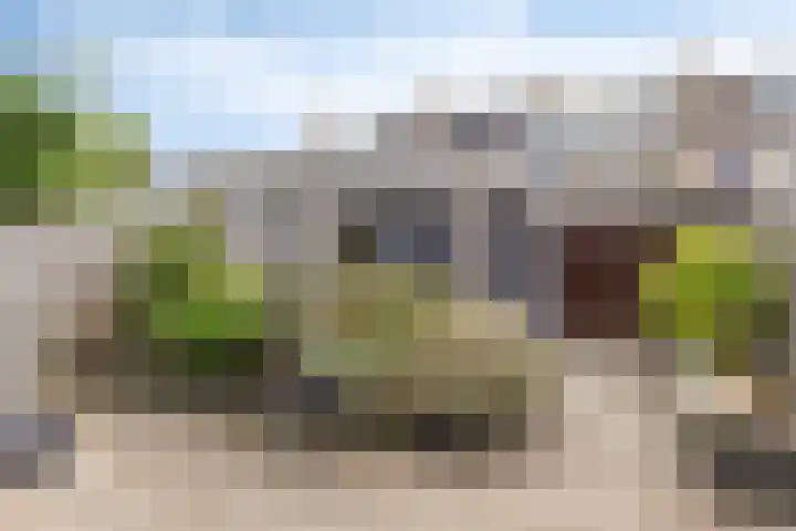Mevr. Traas-de Jagerstraat 5 Oud-Beijerland thumbnail 16