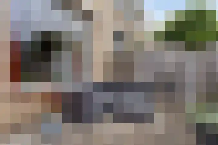 Mevr. Traas-de Jagerstraat 5 Oud-Beijerland thumbnail 17