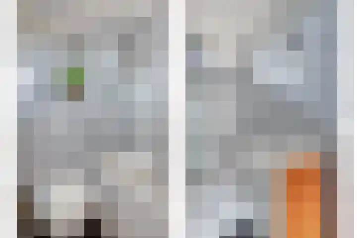 Mevr. Traas-de Jagerstraat 5 Oud-Beijerland thumbnail 30