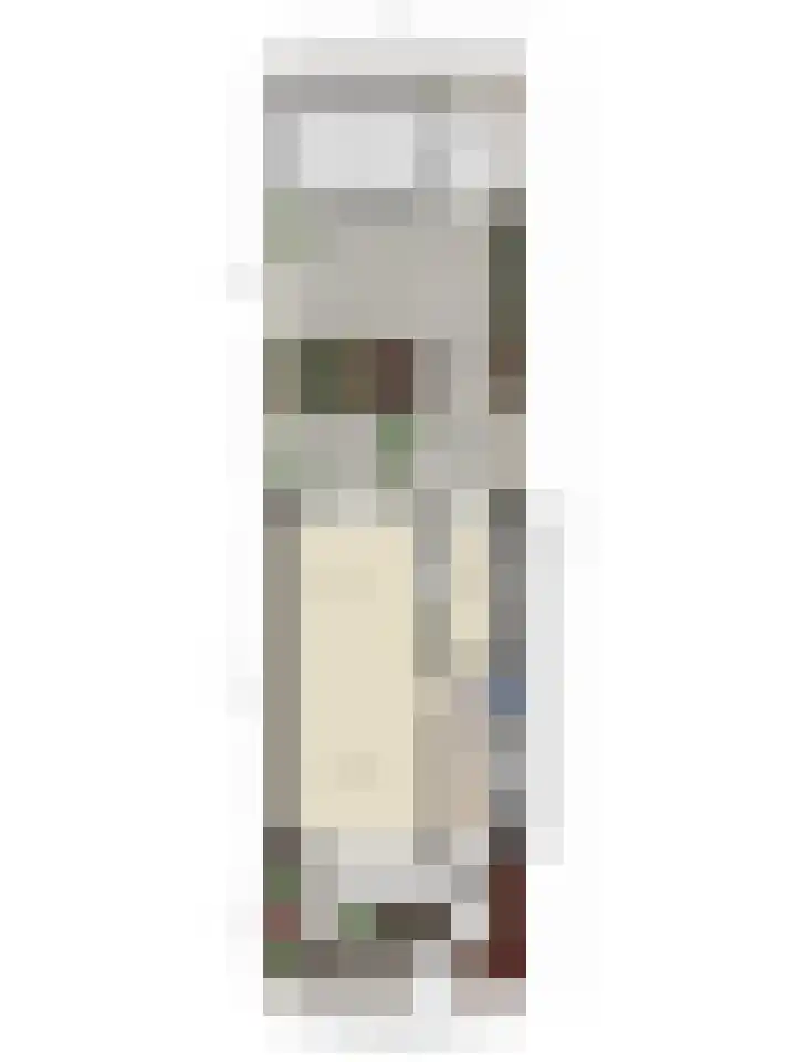 Mevr. Traas-de Jagerstraat 5 Oud-Beijerland thumbnail 37