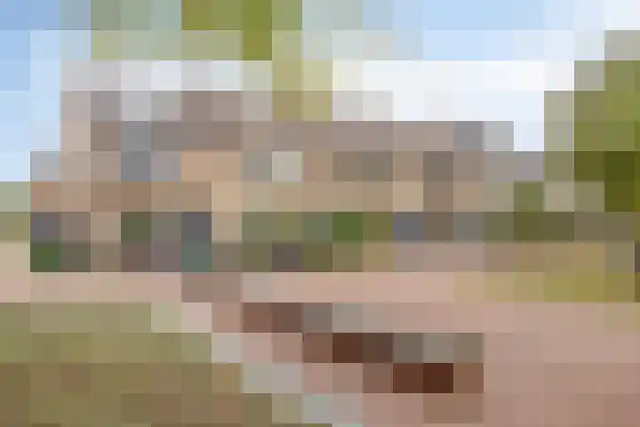 Mevr. Traas-de Jagerstraat 5 Oud-Beijerland thumbnail 4