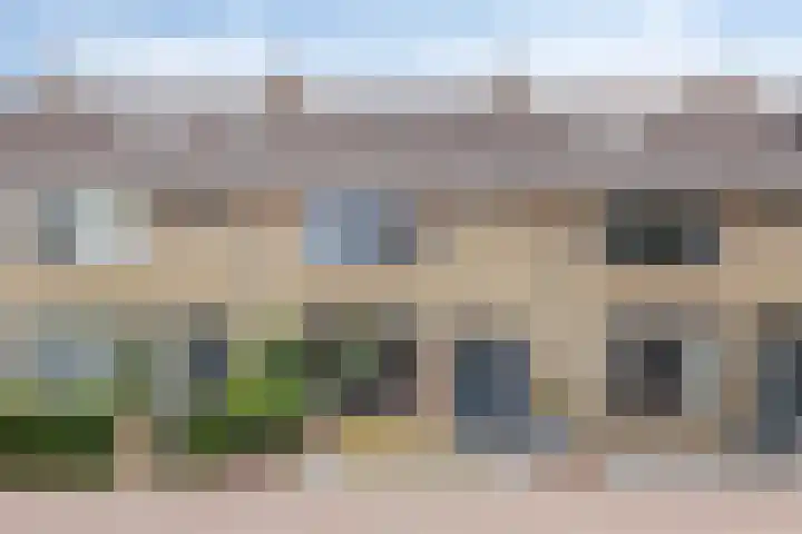 Mevr. Traas-de Jagerstraat 5 Oud-Beijerland thumbnail 42