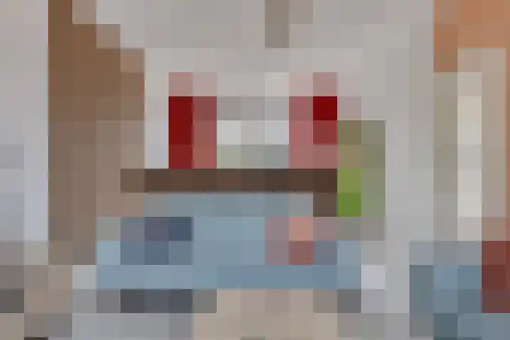 Mevr. Traas-de Jagerstraat 5 Oud-Beijerland thumbnail 9