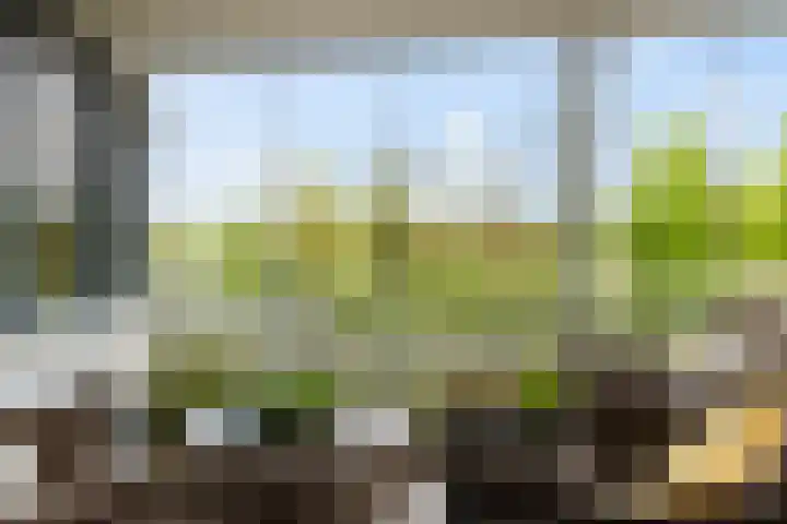 Mevrouw De Rooweg 141 Drachten thumbnail 19