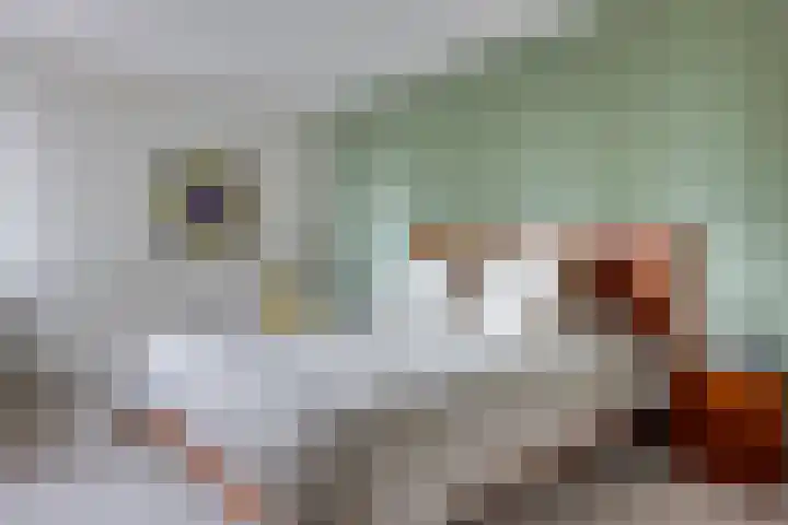 Mevrouw De Rooweg 141 Drachten thumbnail 26