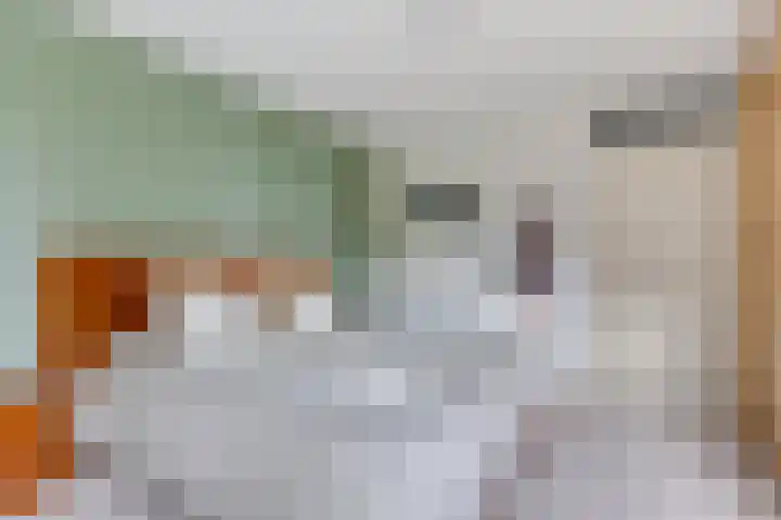 Mevrouw De Rooweg 141 Drachten thumbnail 28