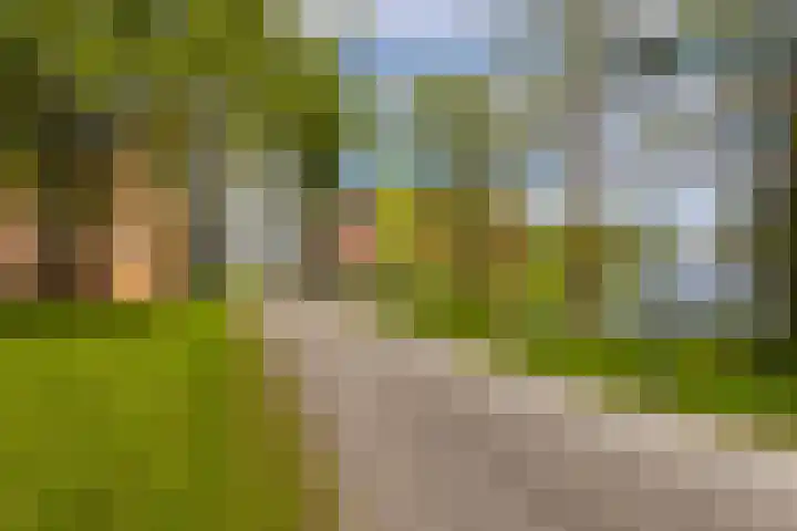 Mevrouw De Rooweg 141 Drachten thumbnail 38