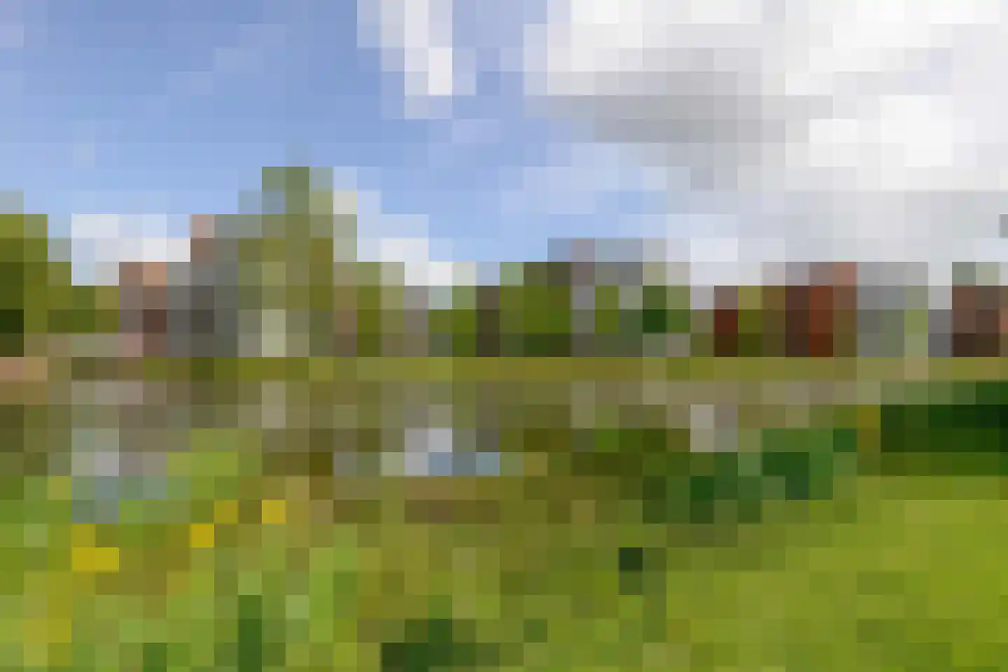 Mevrouw De Rooweg 175 Drachten thumbnail 39