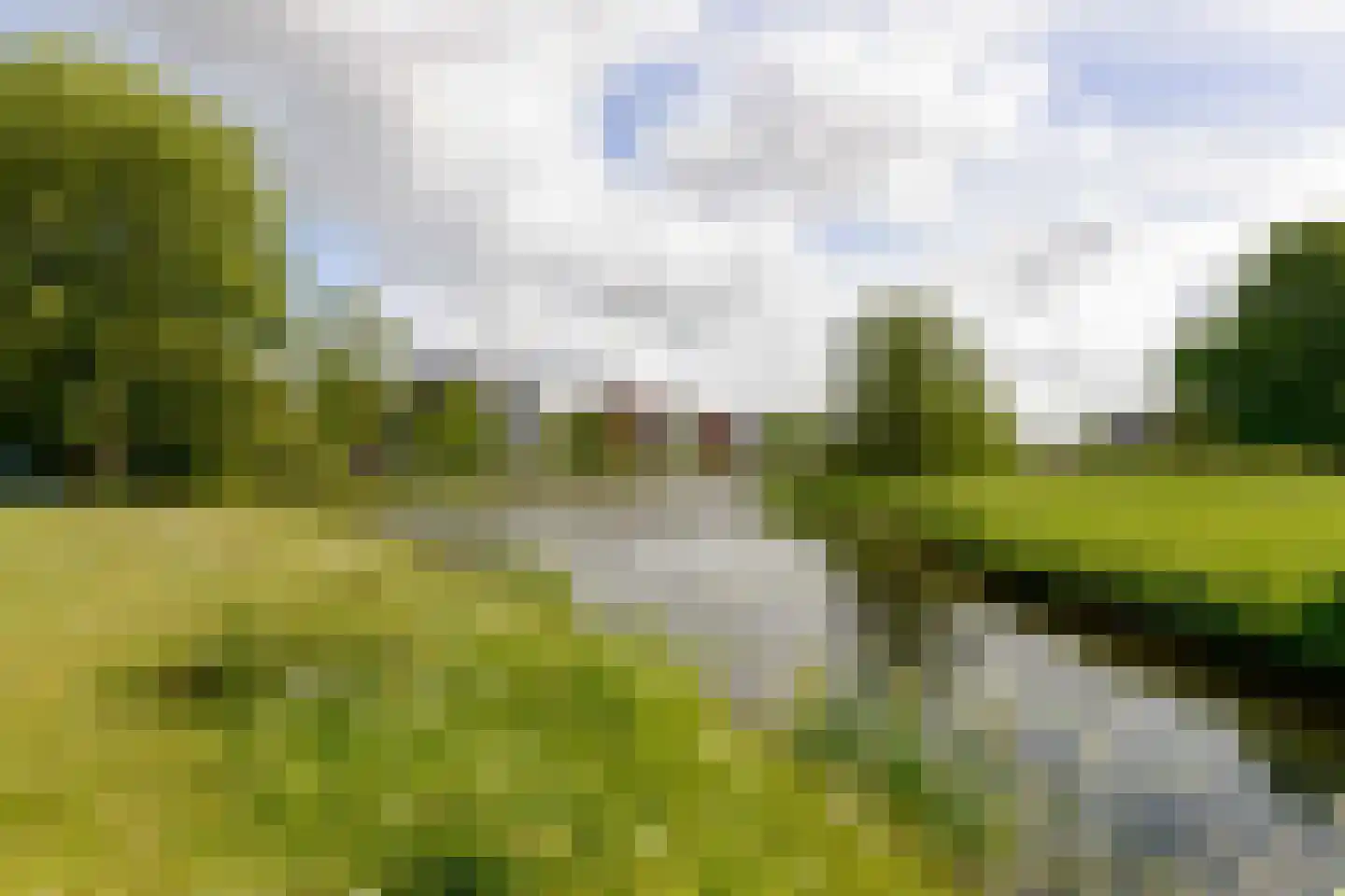 Mevrouw De Rooweg 175 Drachten thumbnail 40