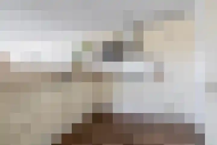 Mevrouw De Rooweg 19 Drachten thumbnail 4