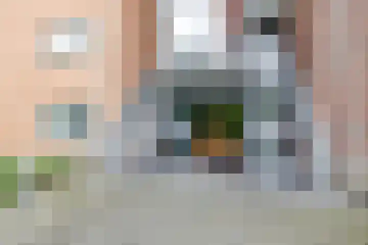 Mevrouw De Rooweg 19 Drachten thumbnail 6