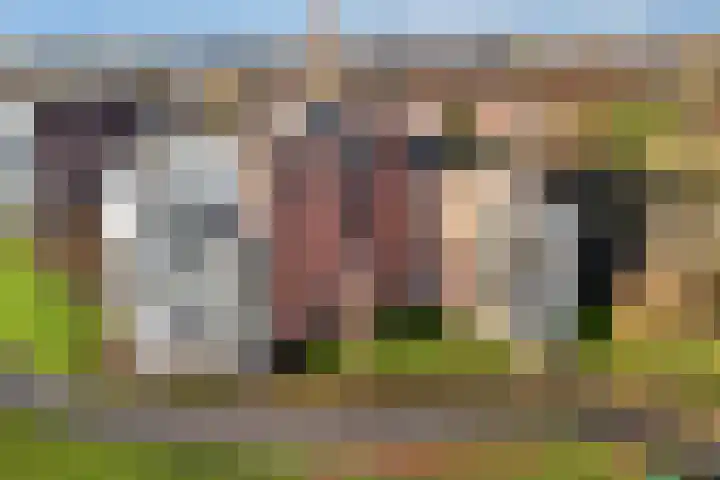Mevrouw De Rooweg 25 Drachten thumbnail 46