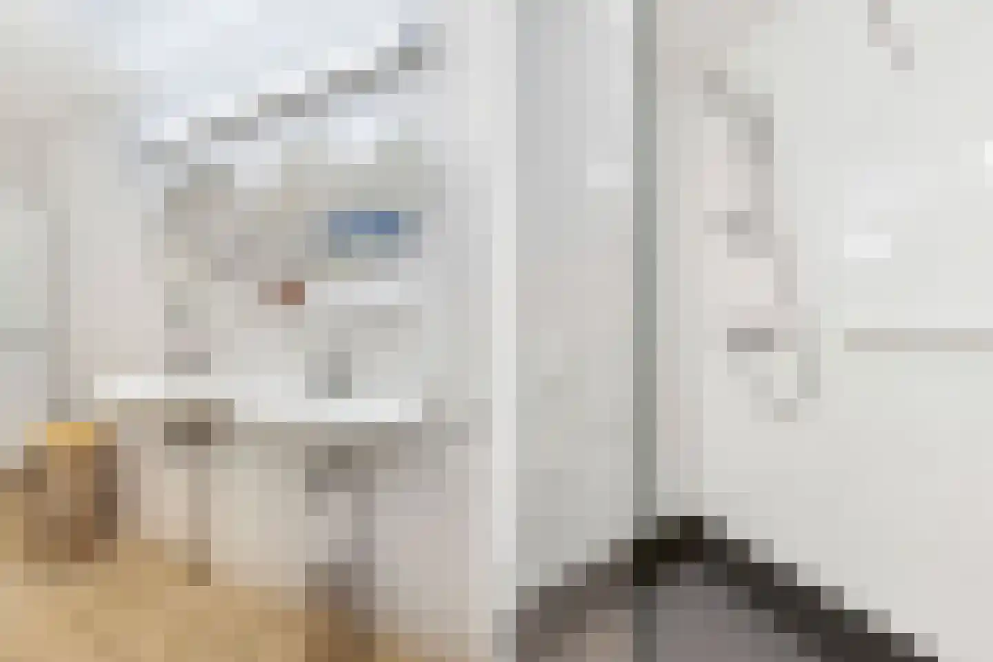 Mevrouw De Rooweg 7 Drachten thumbnail 36