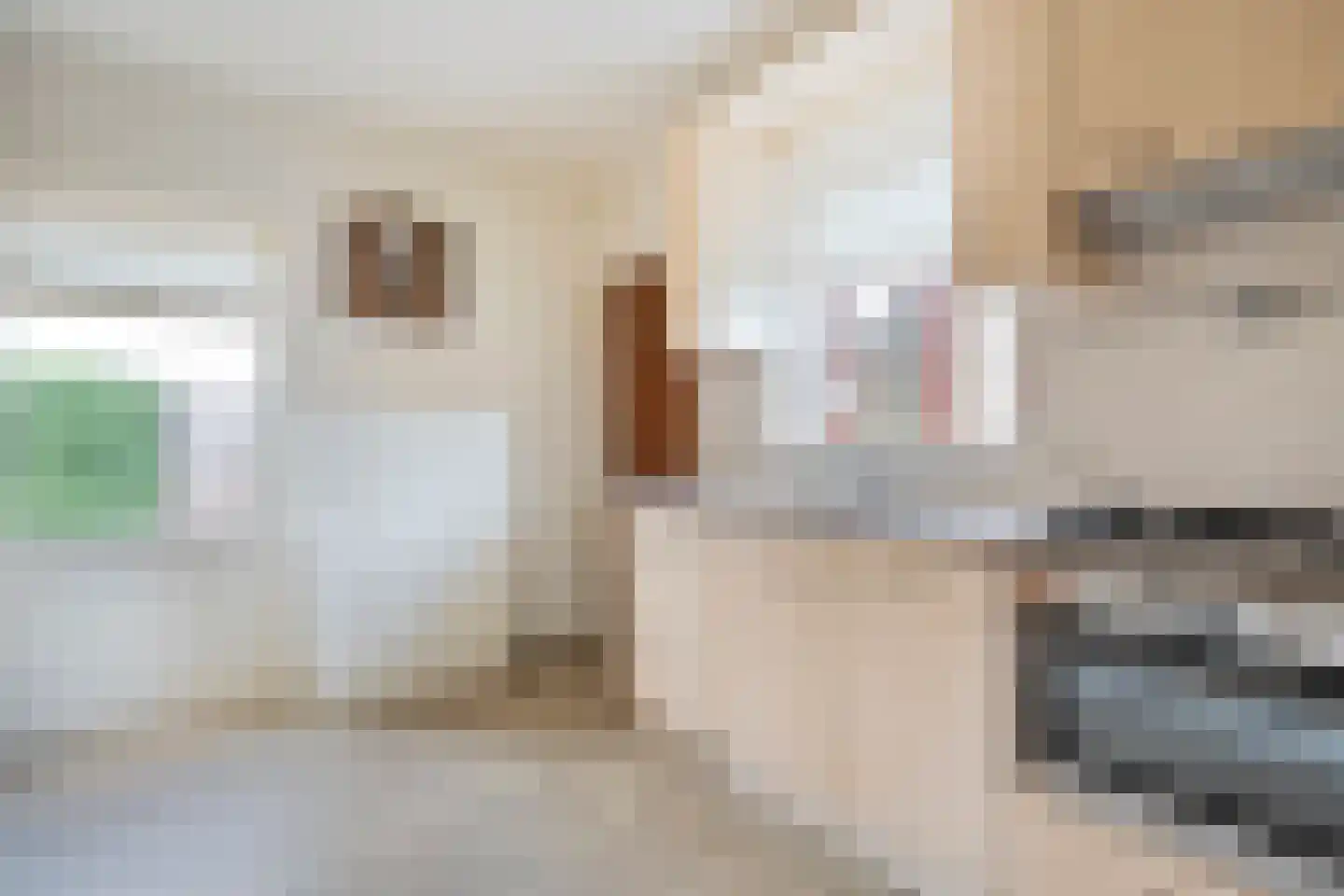 Mevrouw Gelinck-van Kerkwijkstraat 2 Ruinerwold thumbnail 11