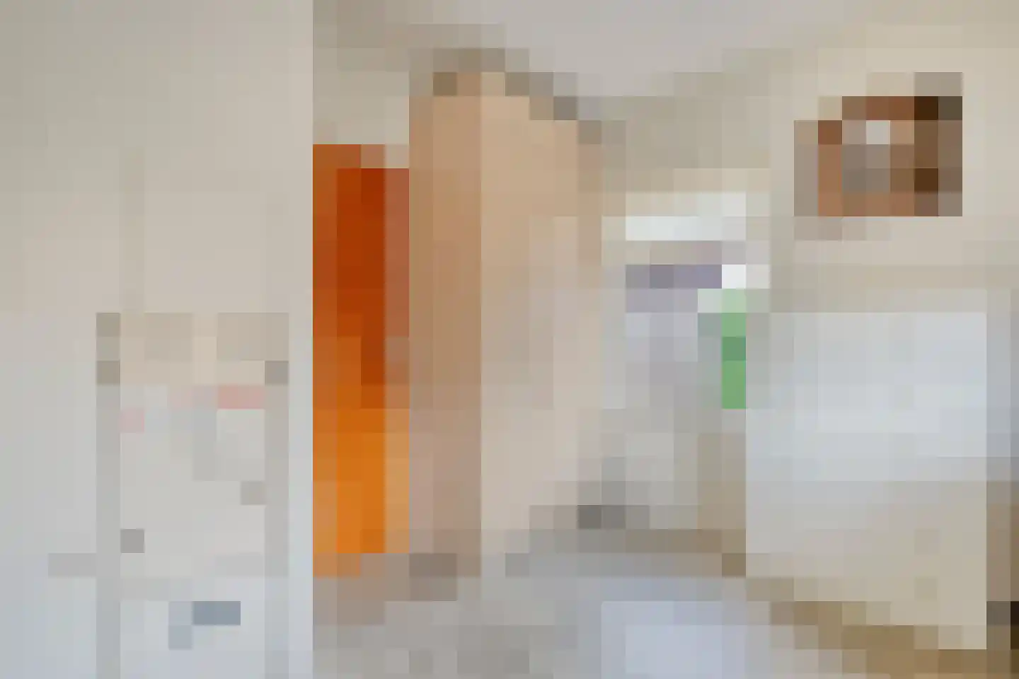 Mevrouw Gelinck-van Kerkwijkstraat 2 Ruinerwold thumbnail 12