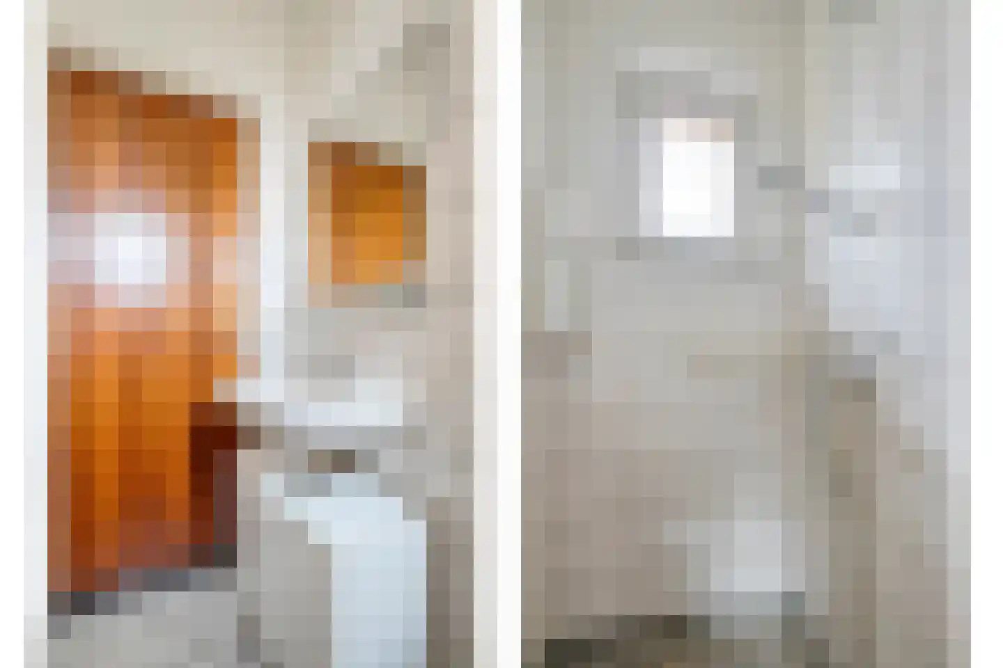 Mevrouw Gelinck-van Kerkwijkstraat 2 Ruinerwold thumbnail 17