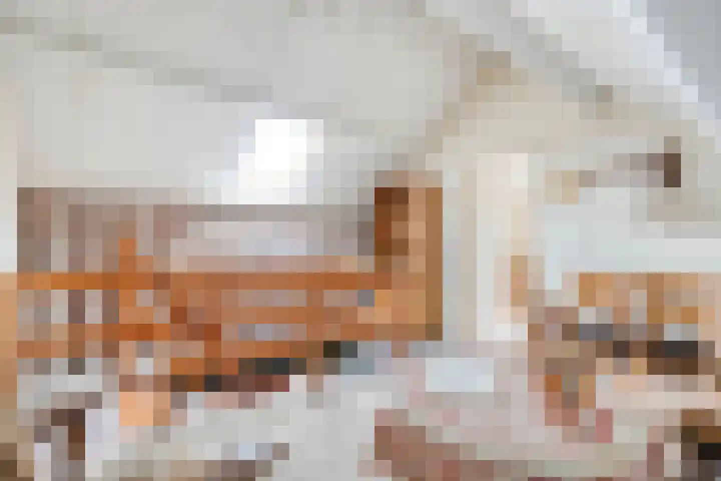 Mevrouw Gelinck-van Kerkwijkstraat 2 Ruinerwold thumbnail 20