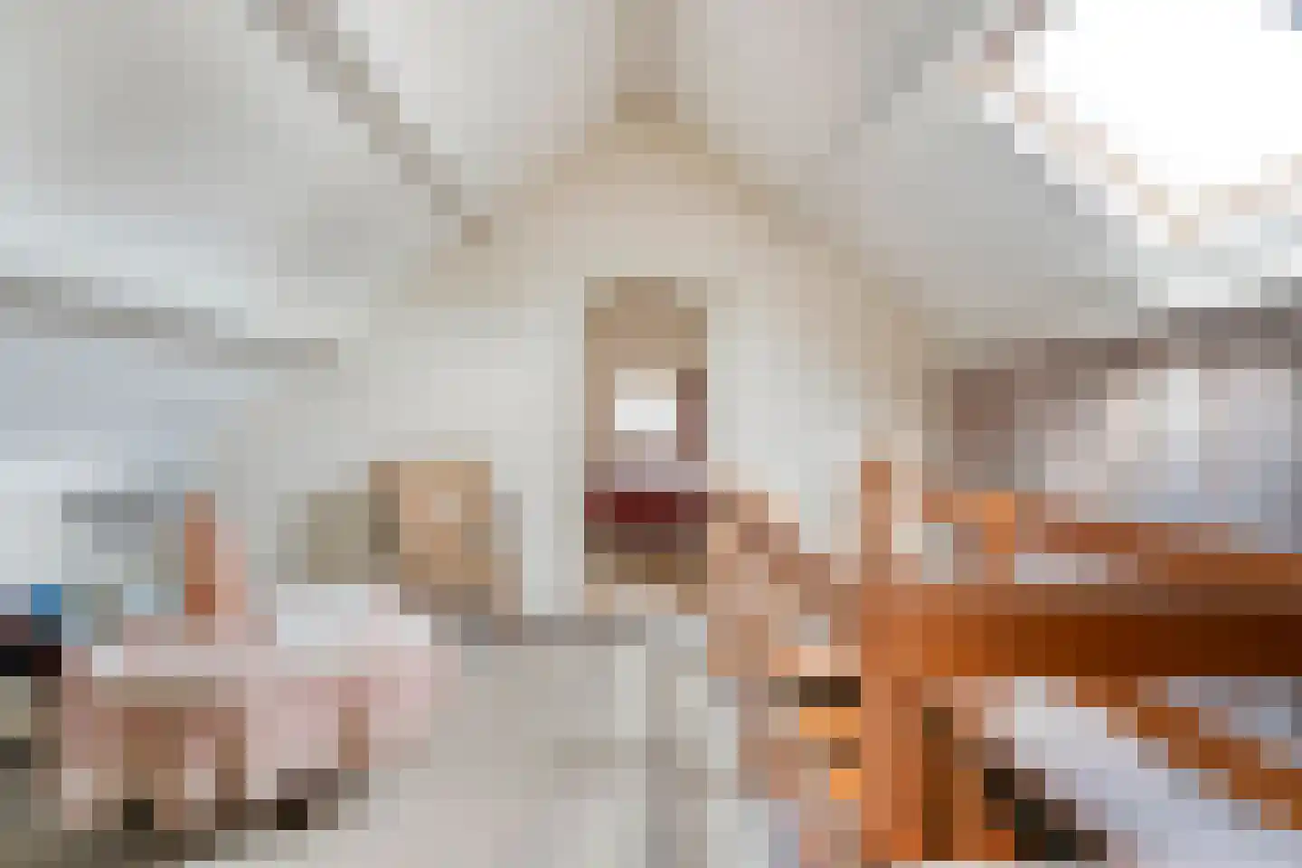 Mevrouw Gelinck-van Kerkwijkstraat 2 Ruinerwold thumbnail 21