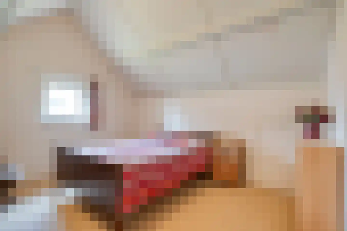 Mevrouw Gelinck-van Kerkwijkstraat 2 Ruinerwold thumbnail 22