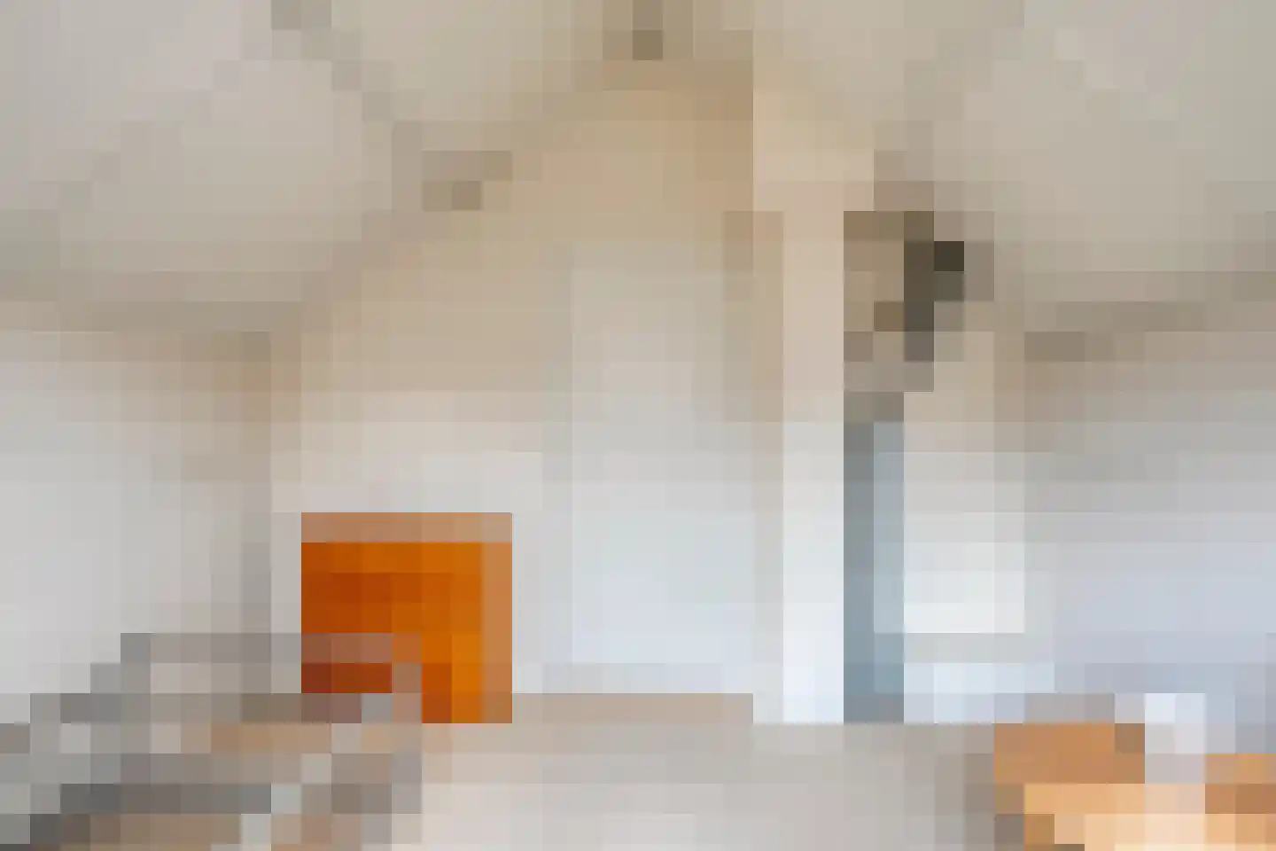 Mevrouw Gelinck-van Kerkwijkstraat 2 Ruinerwold thumbnail 25