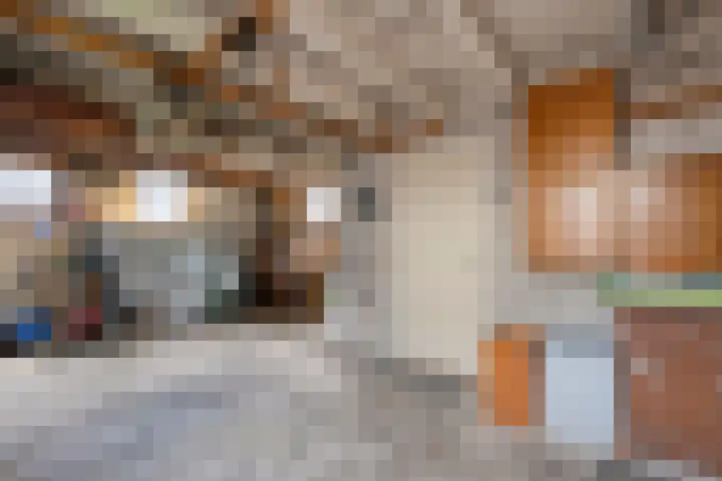 Mevrouw Gelinck-van Kerkwijkstraat 2 Ruinerwold thumbnail 26
