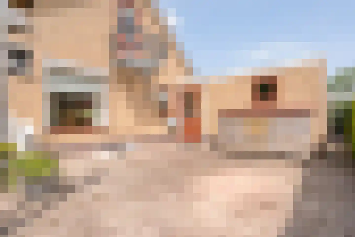 Mevrouw Gelinck-van Kerkwijkstraat 2 Ruinerwold thumbnail 29