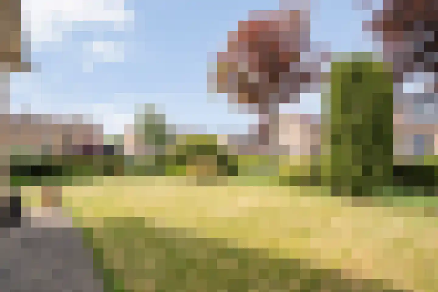Mevrouw Gelinck-van Kerkwijkstraat 2 Ruinerwold thumbnail 30