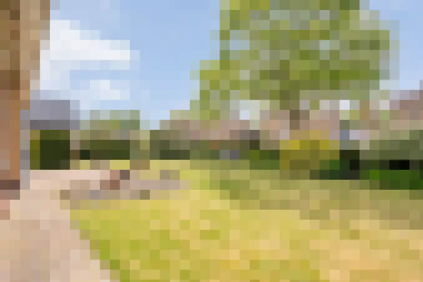 Mevrouw Gelinck-van Kerkwijkstraat 2 Ruinerwold thumbnail 31