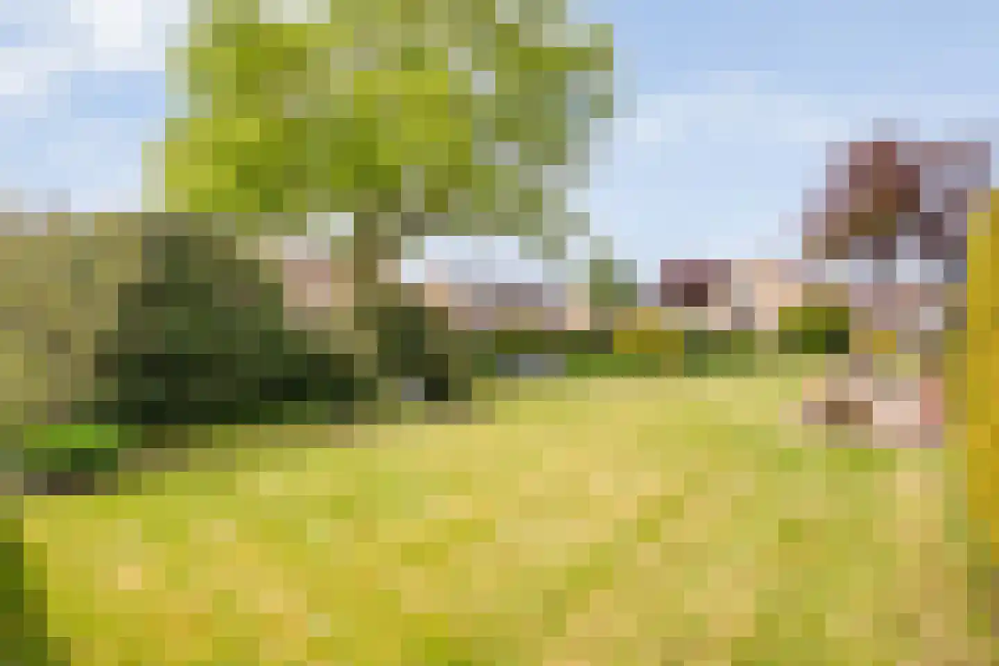 Mevrouw Gelinck-van Kerkwijkstraat 2 Ruinerwold thumbnail 37