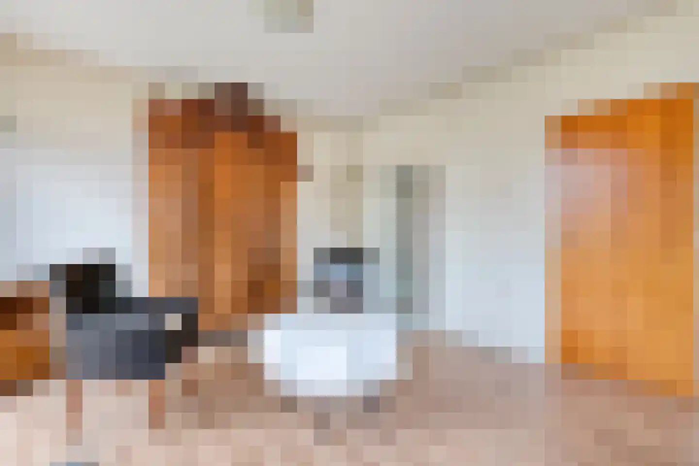 Mevrouw Gelinck-van Kerkwijkstraat 2 Ruinerwold thumbnail 7
