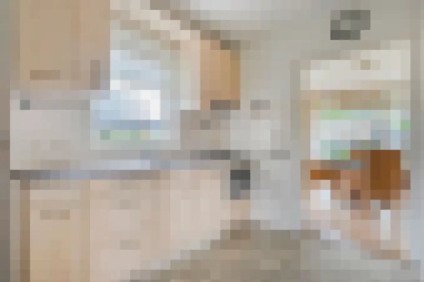 Mevrouw Gelinck-van Kerkwijkstraat 2 Ruinerwold thumbnail 9