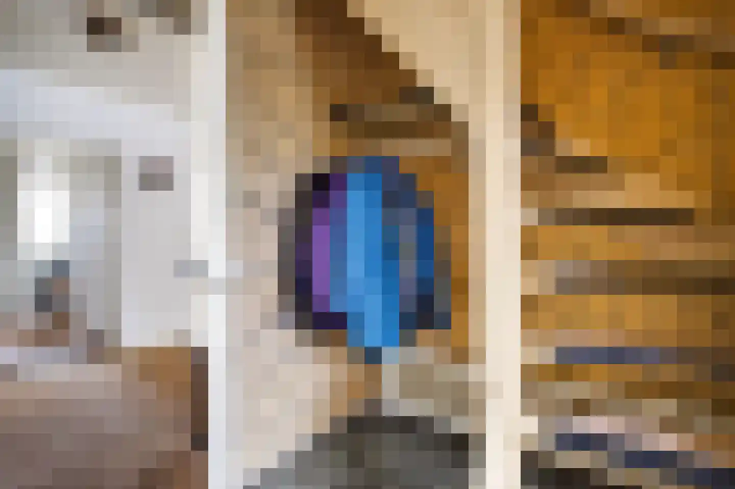 Mevrouw Gelinck-van Kerkwijkstraat 32 Ruinerwold thumbnail 11