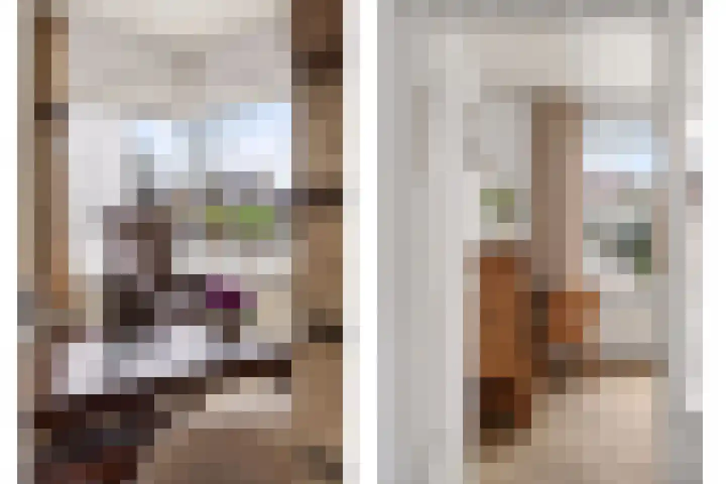 Mevrouw Gelinck-van Kerkwijkstraat 32 Ruinerwold thumbnail 12