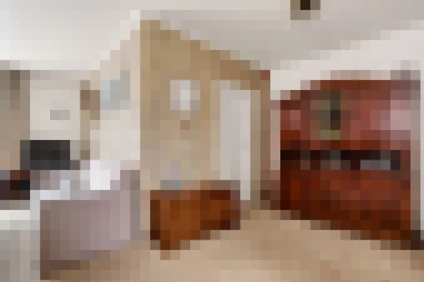 Mevrouw Gelinck-van Kerkwijkstraat 32 Ruinerwold thumbnail 17