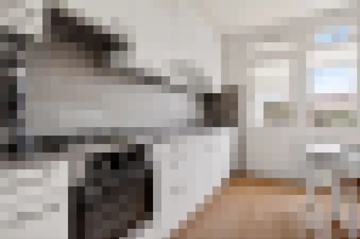 Mevrouw Gelinck-van Kerkwijkstraat 32 Ruinerwold thumbnail 20