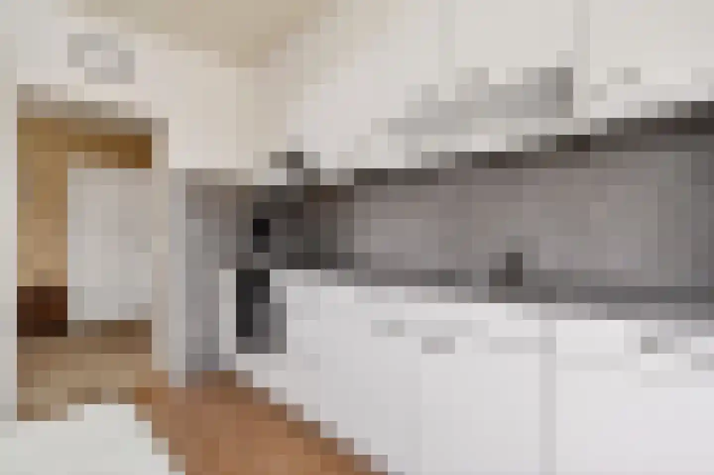 Mevrouw Gelinck-van Kerkwijkstraat 32 Ruinerwold thumbnail 22