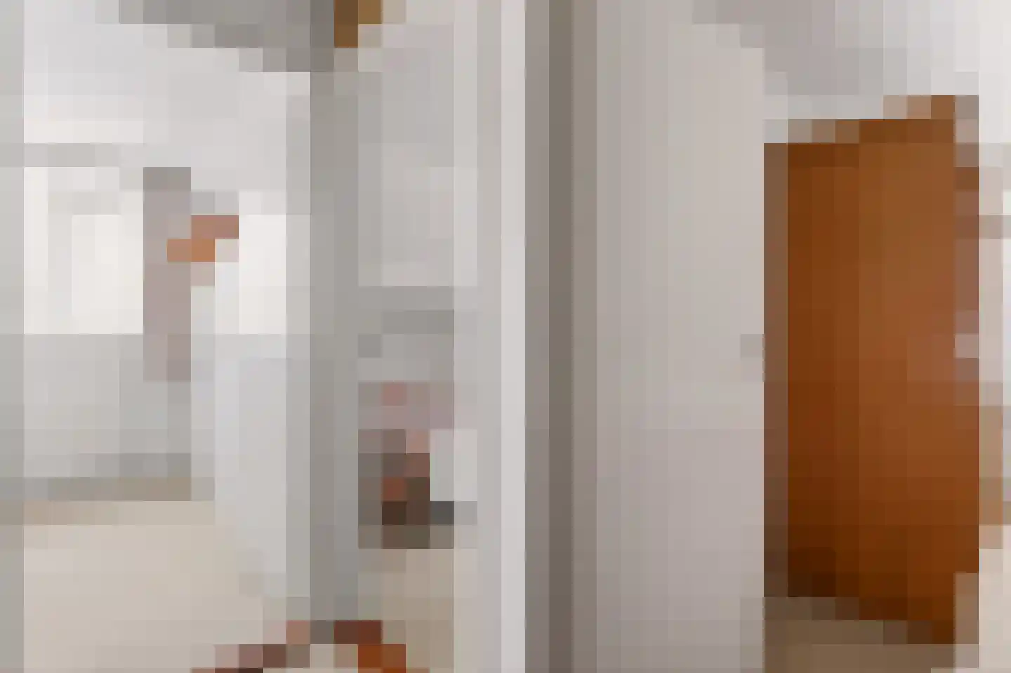 Mevrouw Gelinck-van Kerkwijkstraat 32 Ruinerwold thumbnail 24