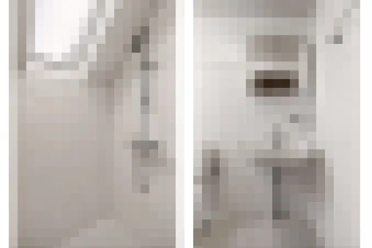 Mevrouw Gelinck-van Kerkwijkstraat 32 Ruinerwold thumbnail 33