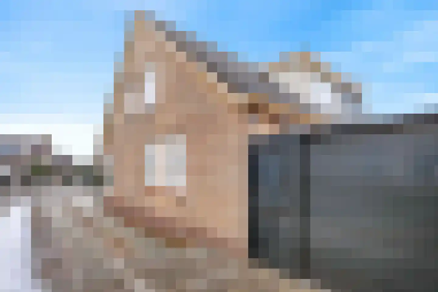 Mevrouw Gelinck-van Kerkwijkstraat 32 Ruinerwold thumbnail 8