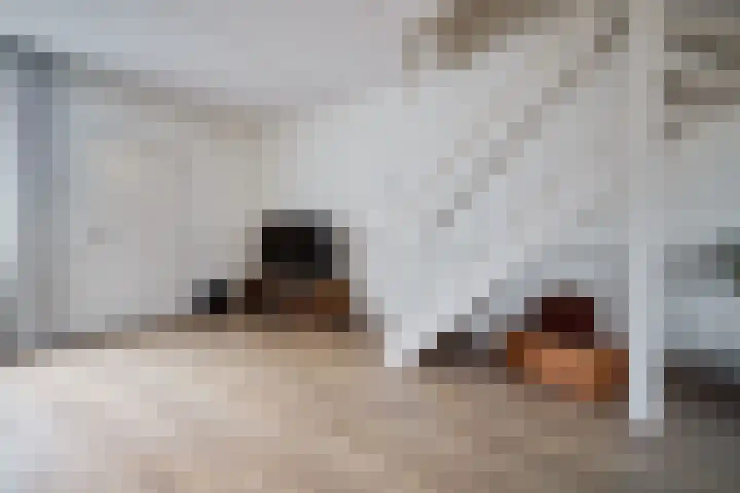 Mevrouw Kuipers-Rietberghof 16 Soest thumbnail 13