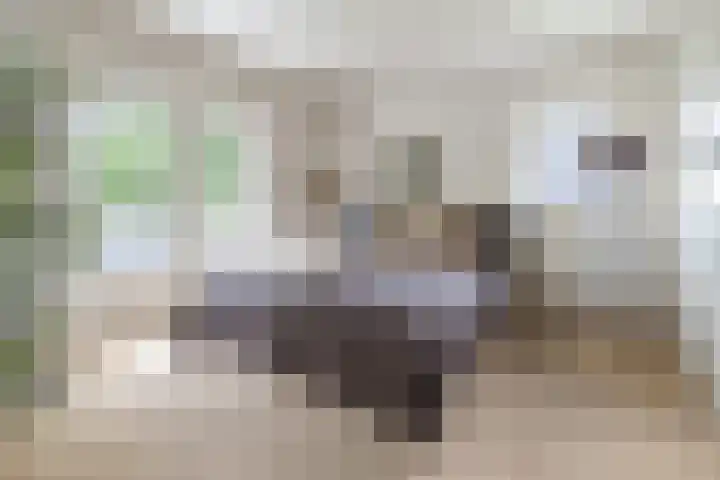 Mevrouw Leinweberlaan 15 Driebergen-Rijsenburg thumbnail 17