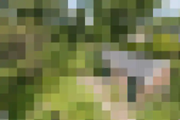 Mevrouw Leinweberlaan 15 Driebergen-Rijsenburg thumbnail 20